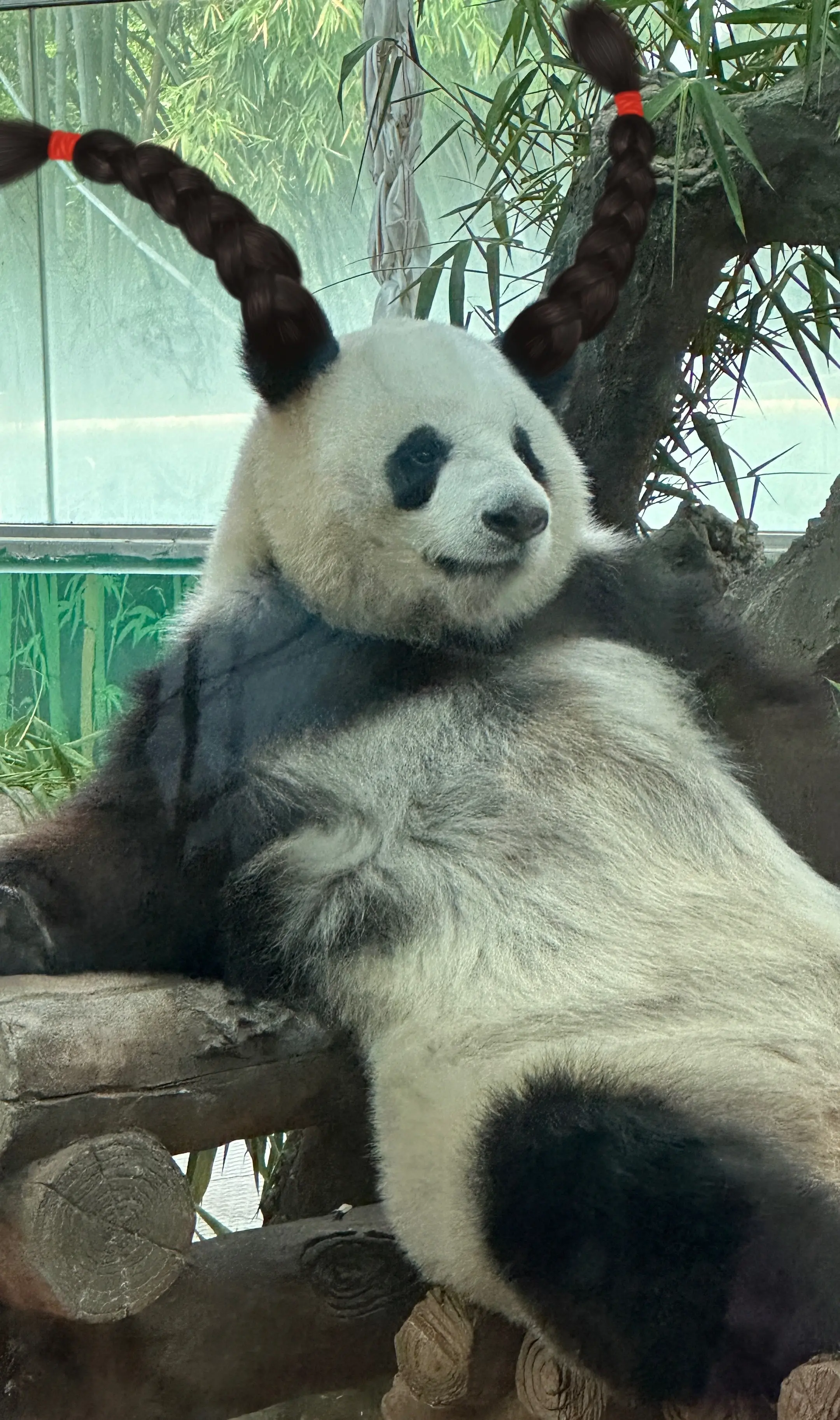 星一雅一的一些旧图。（我的创意都用到星一雅一身上了。）