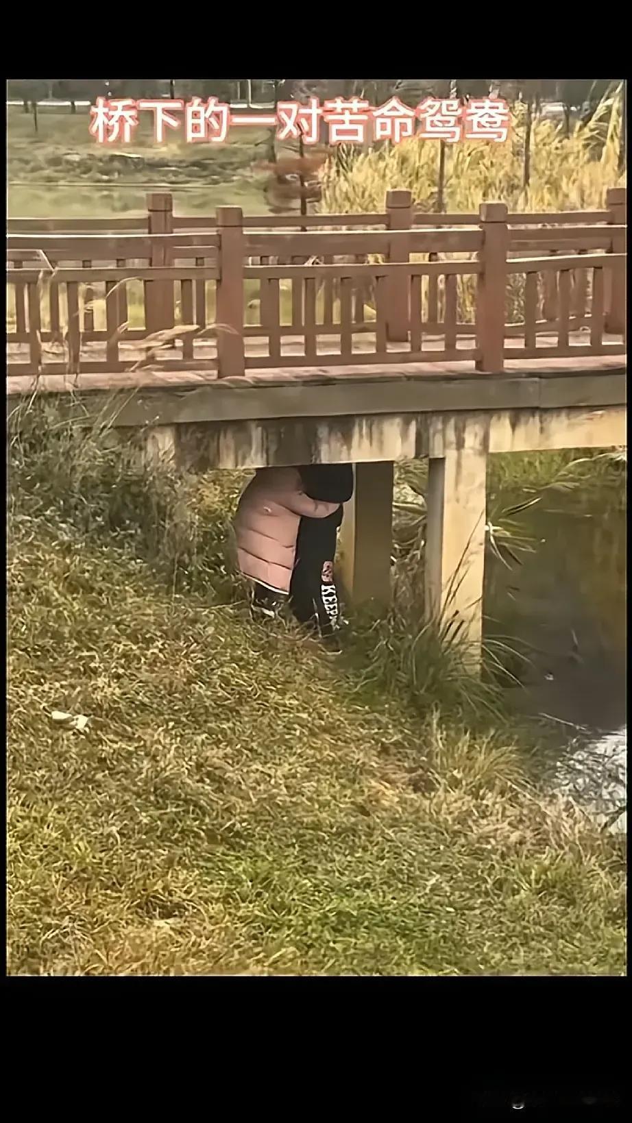 藏这儿就以为别人看不见🙈[捂脸]
宇宙之辽阔，
你们的爱情天地在桥下。
人间的