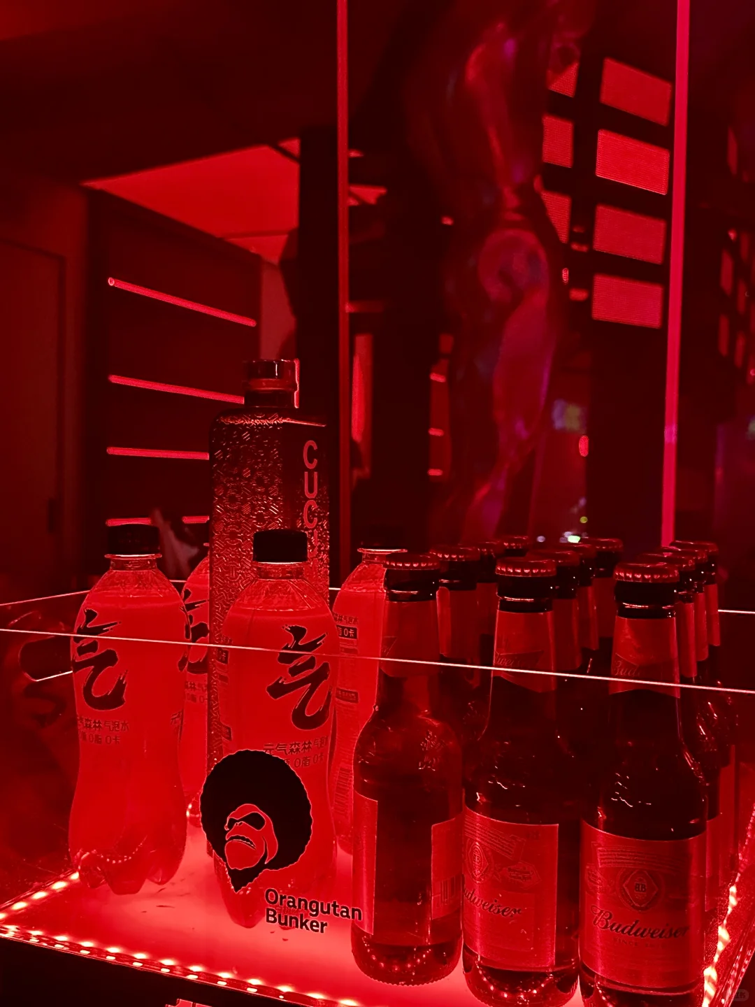 呼和浩特｜和好朋友的秘密基地🍻