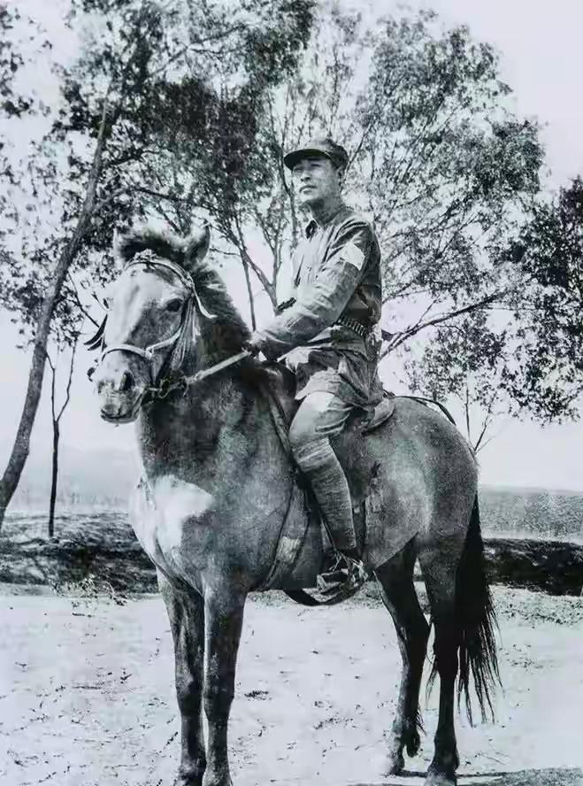 徐春阳回忆  彭雪枫师长

徐春阳中将回忆录《血火年华》里，关于彭雪枫师长的关键