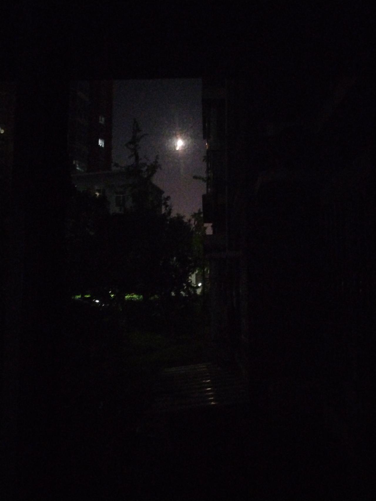 夜晚的静谧，总有着一种独特的魅力。当月光洒在树梢，像是给树披上了一层银纱，美得让