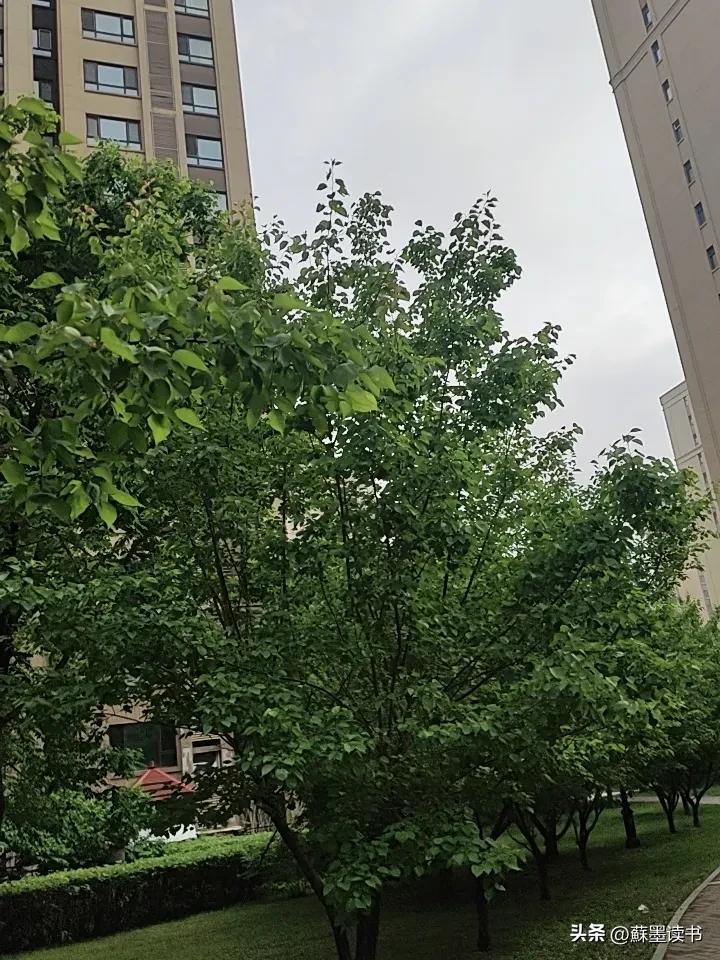 2026年扭转好运的方法:

1. 多去阳光充足的公园散步，让温暖的自然能量驱散