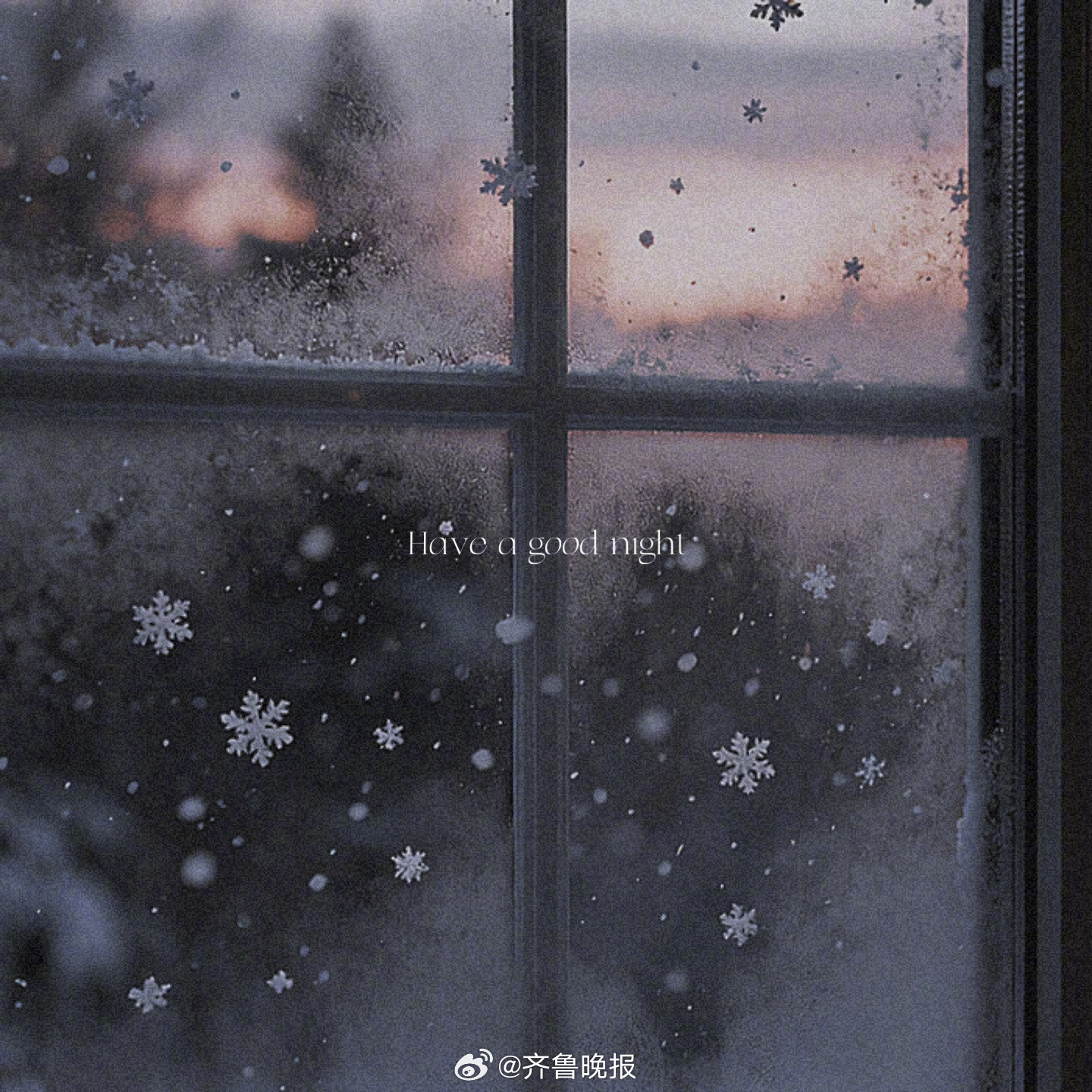 愿你能在夜晚找到内心深处的安宁与幸福#晚安#