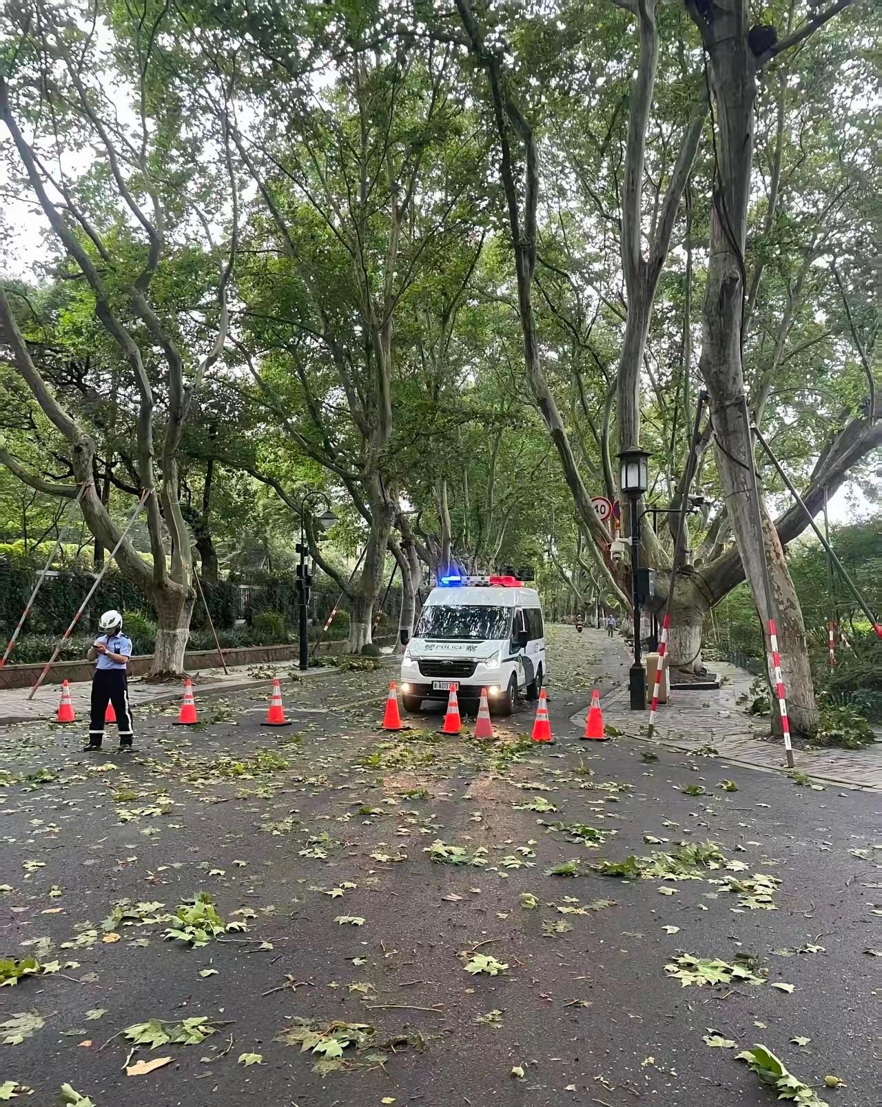 台风过后的西湖完全换了一副模样，现场看得人心惊。白堤、苏堤、杨公堤全部临时封闭管