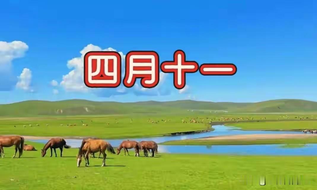 今日四月十一，别忘：1要剪，2不剩，吃3样，忌2事，寓意平安顺遂
 
今天是农历