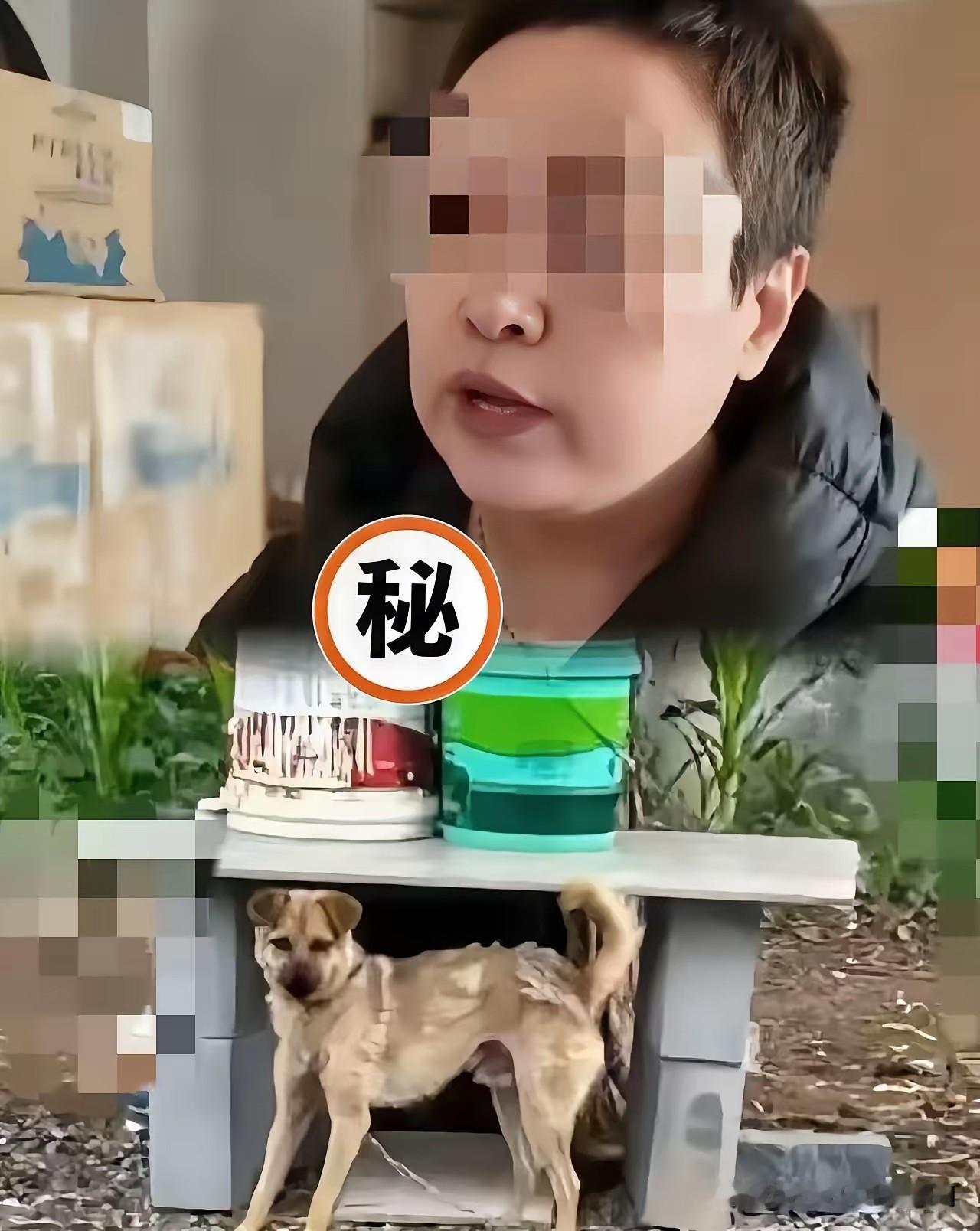 郭勇刚的妻子现在估计肠子都悔青了！

她后悔的不是狗被摔死，也不是玻璃被砸，而是