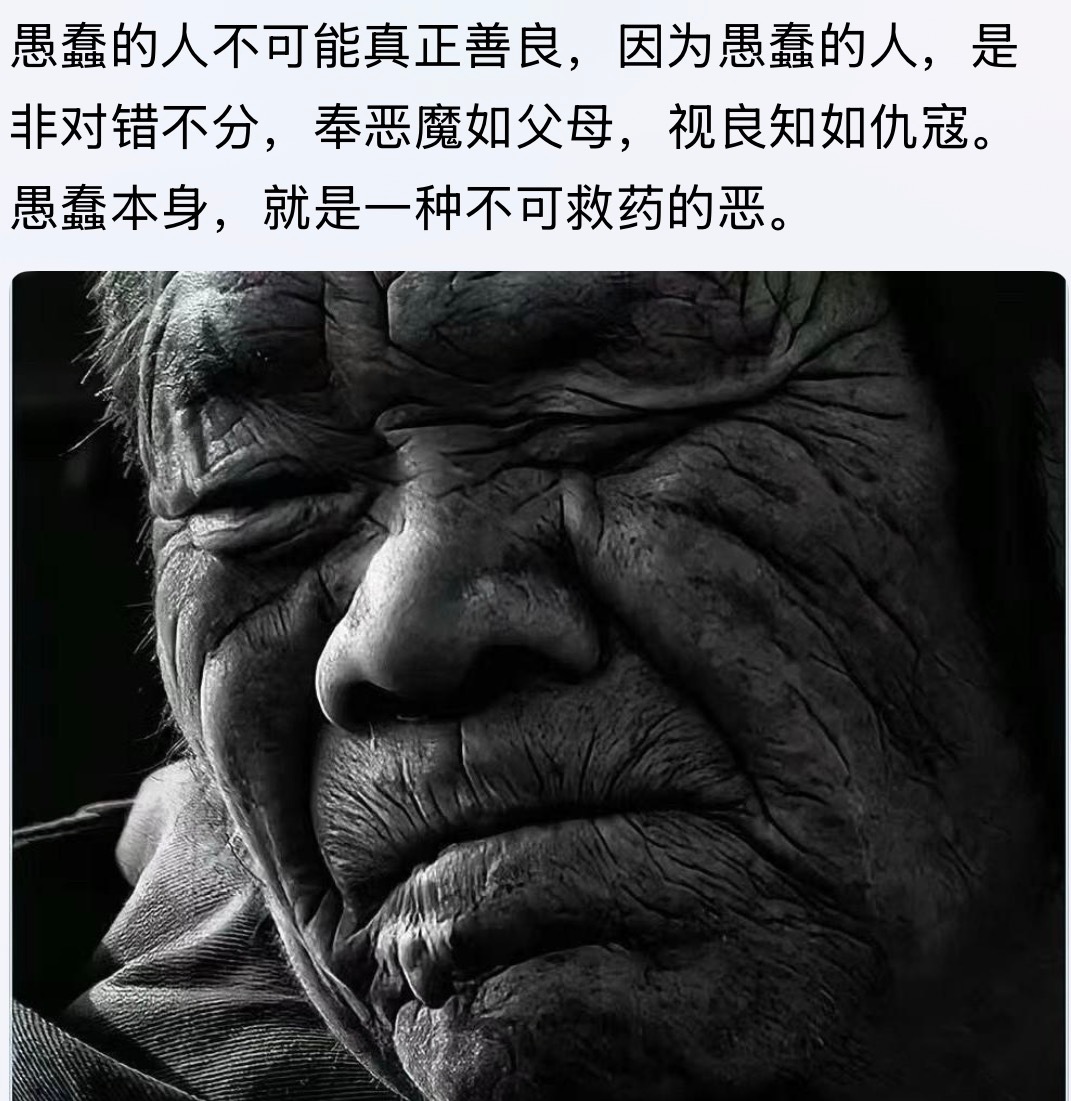 😐愚蠢的人不可能真正善良生活碎片