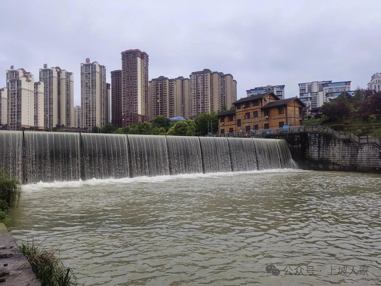 清明节后春雨不绝，碧绿的玉溪河水变浑黄
