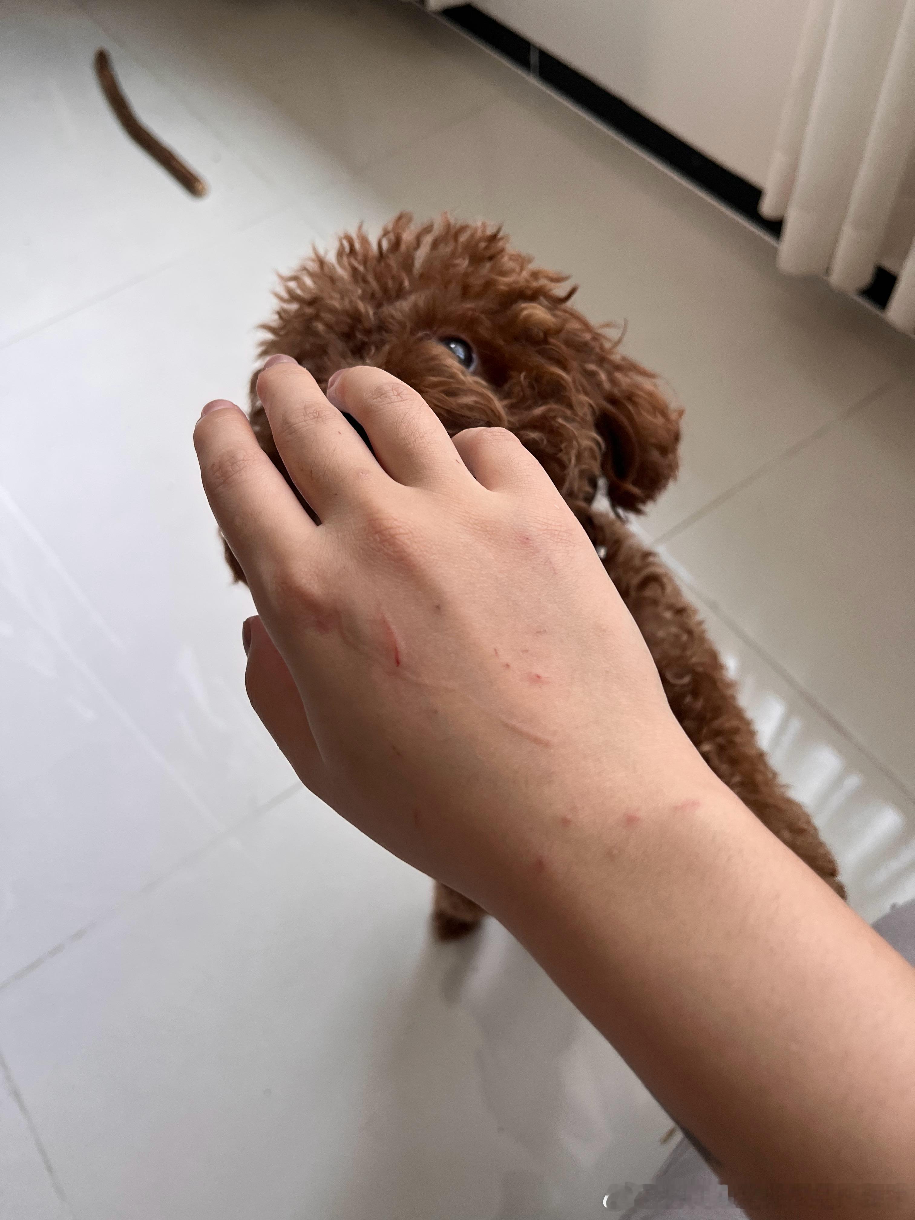 连续一周给猫喂药后： ​​​