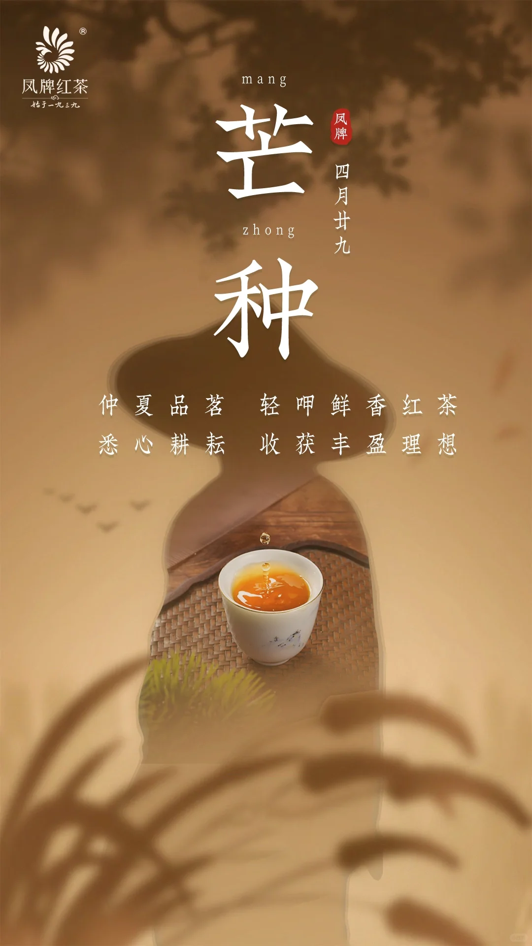✨芒种丨浅啜杯中茶，四野漫茶香