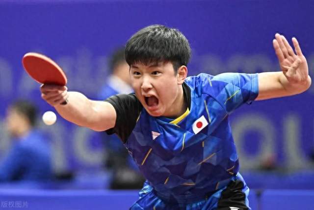 3-4！张本智和栽了：344 名伊朗老将七局掀翻日本一哥