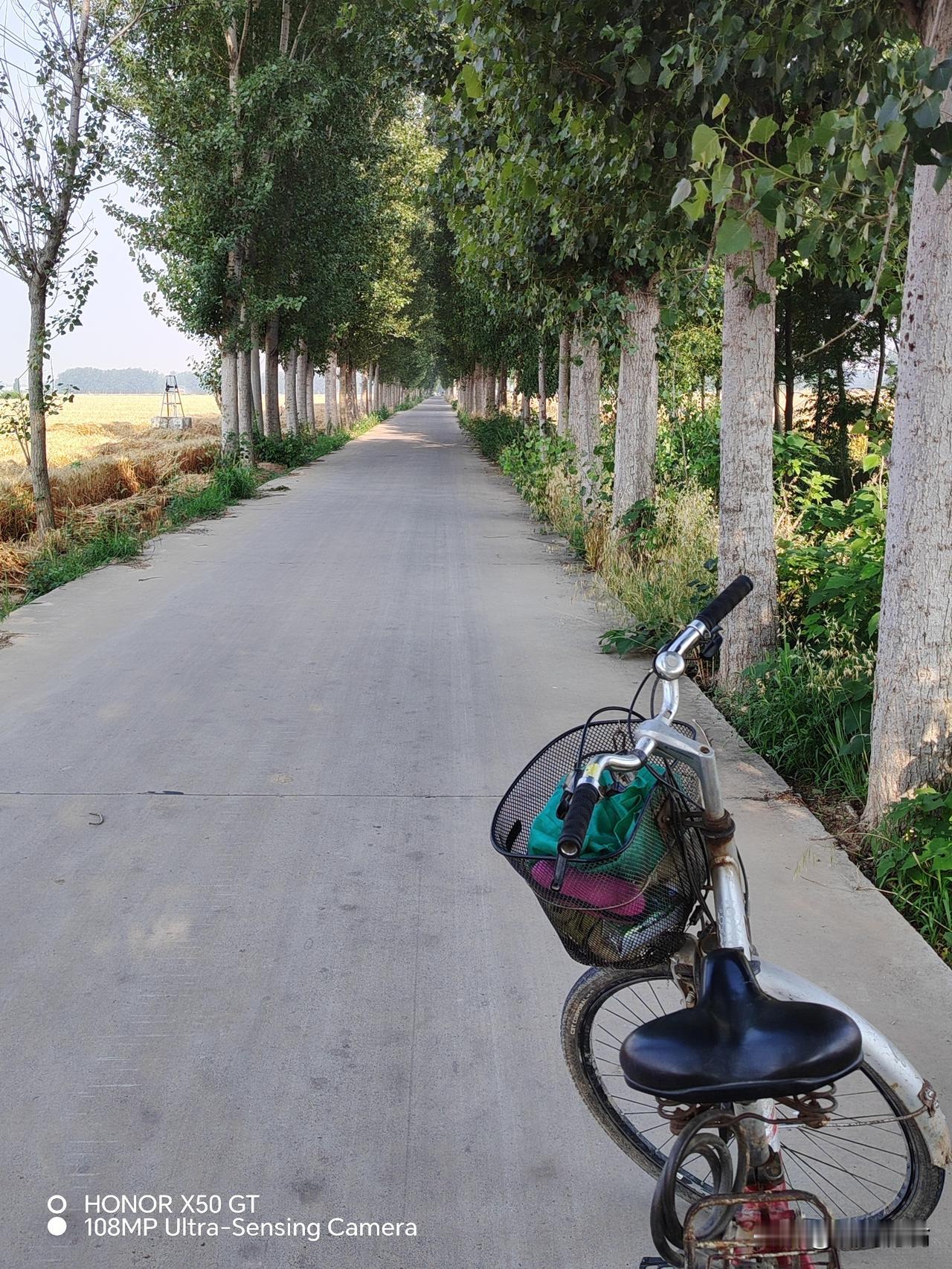酷热的夏天，田间的林荫小道就是一道亮丽的风景！
骑行在这种田间的林荫小道上，树上