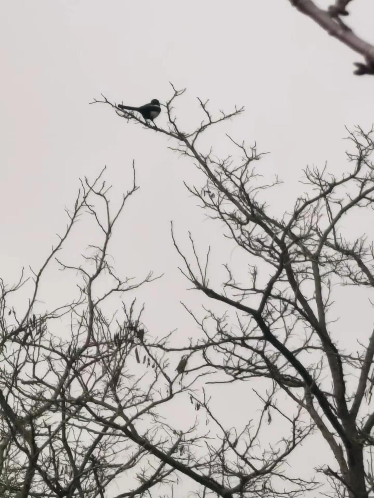 时间过的真快呀