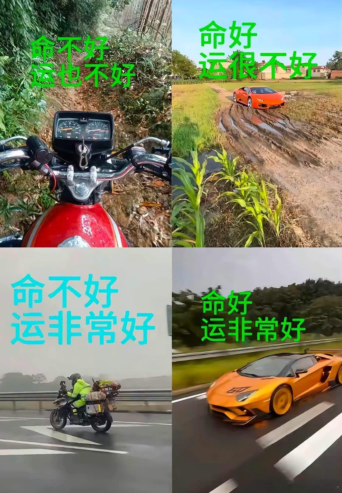 命和运