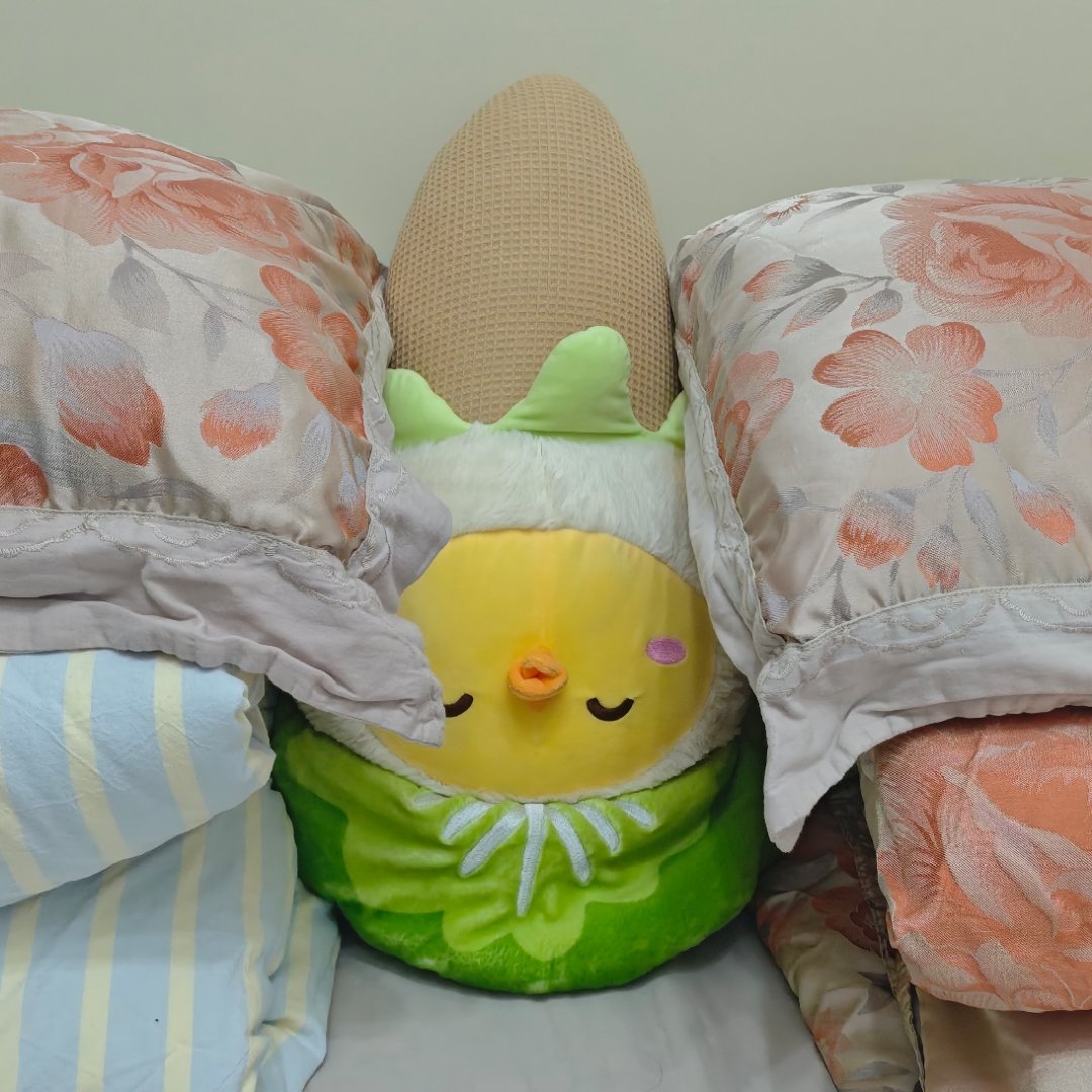 好好笑…诺白菜在打扫完卫生之后被放成了这样无法分辨头尾之物[泪奔] ​​​