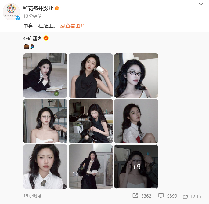 经纪公司说向涵之单身 经纪公司说向涵之单身。 