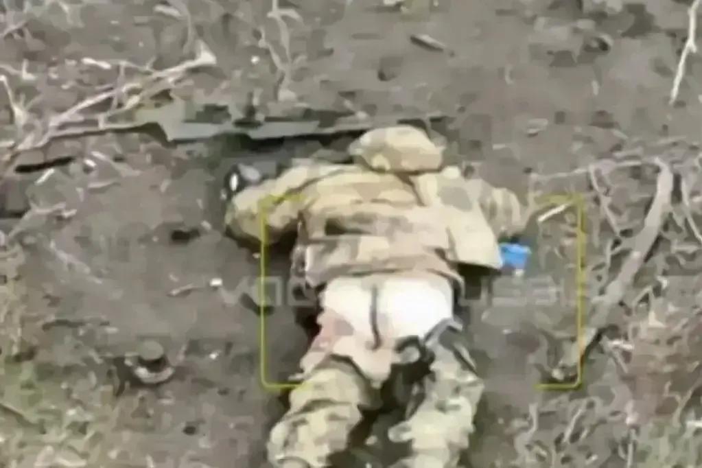 有图有真相，战争是血与火的较量，残酷战火之下，除却精神可以勇猛顽强，生命之脆弱显