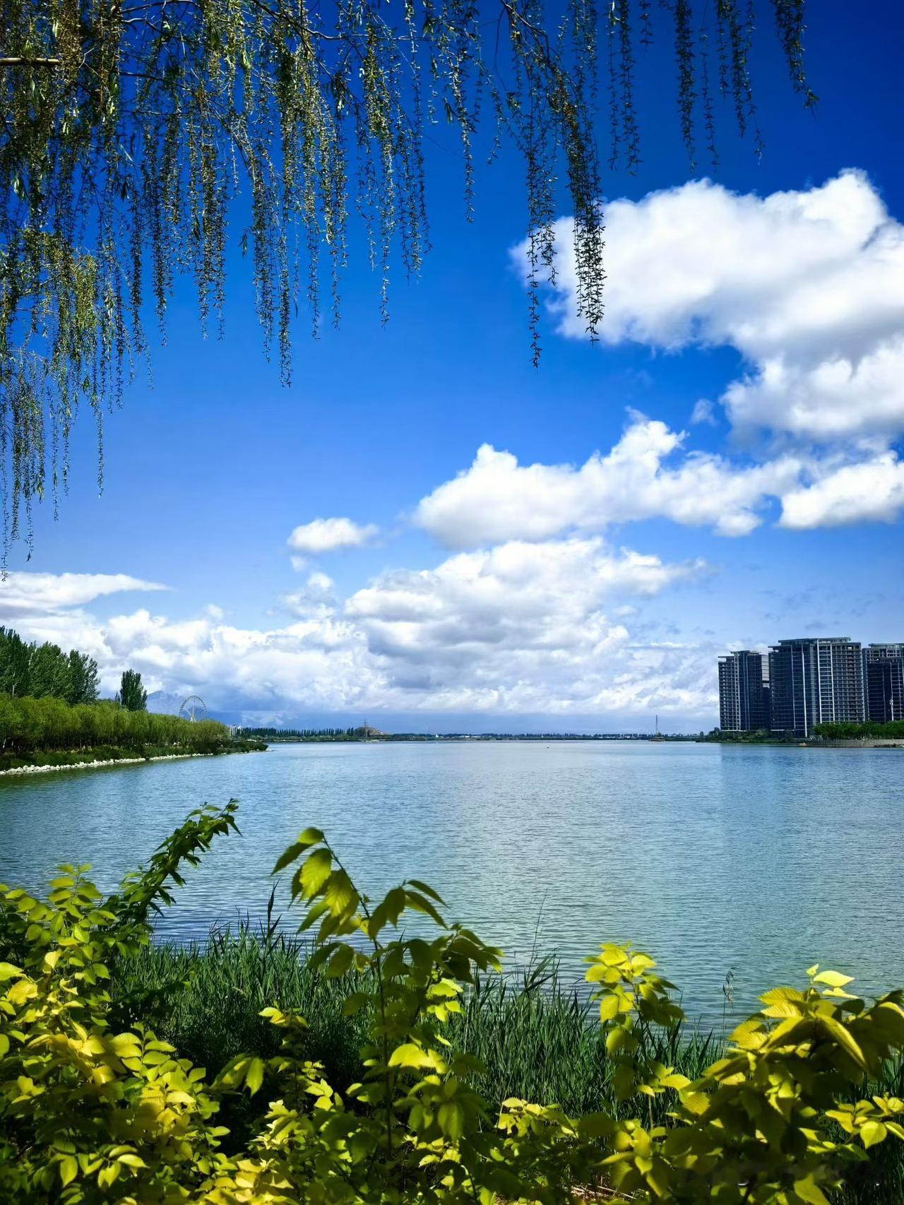 柳拂清波云漫卷，静守一湖安然。