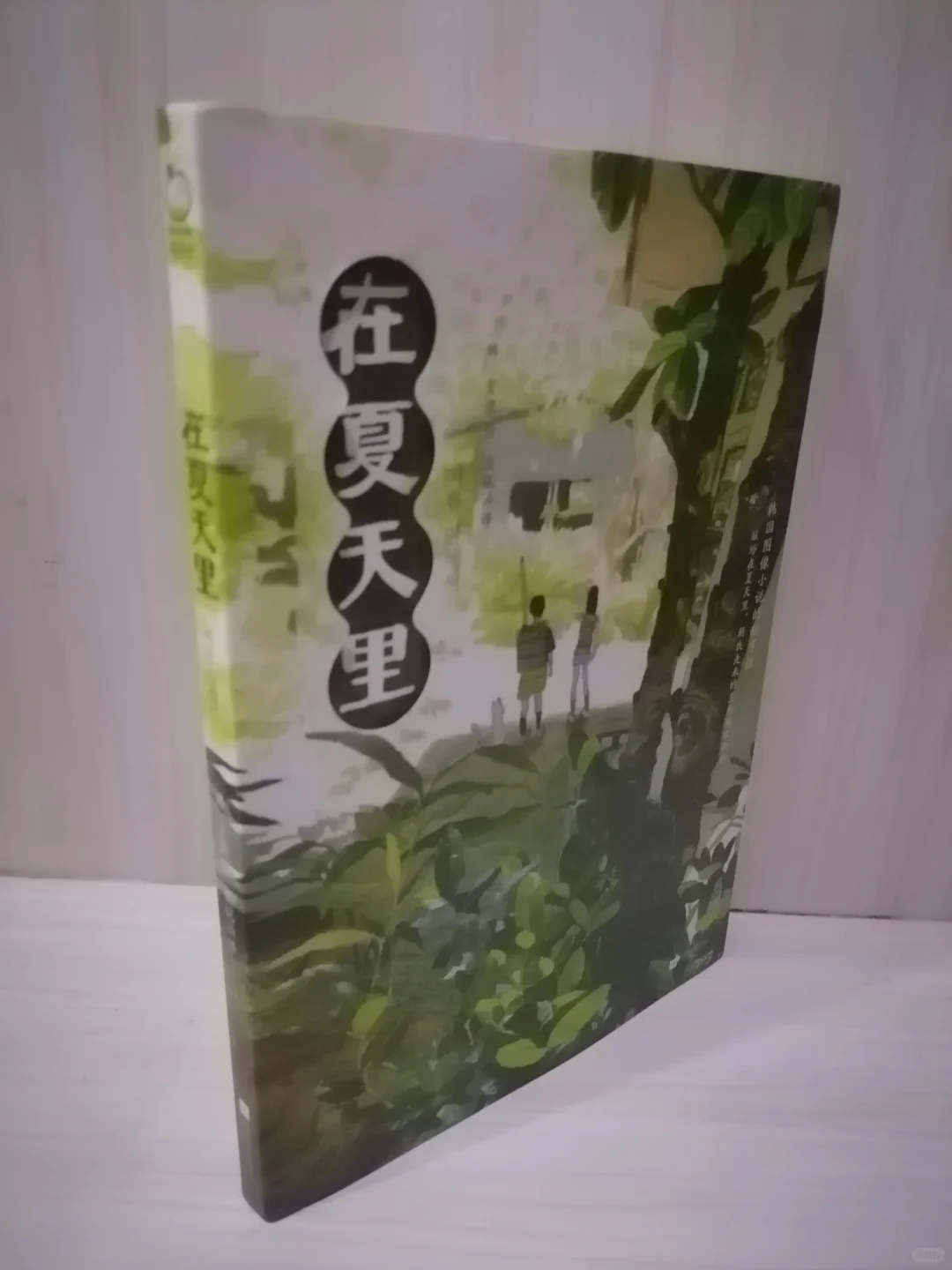 夏日奇遇：探寻友情与人性的温度