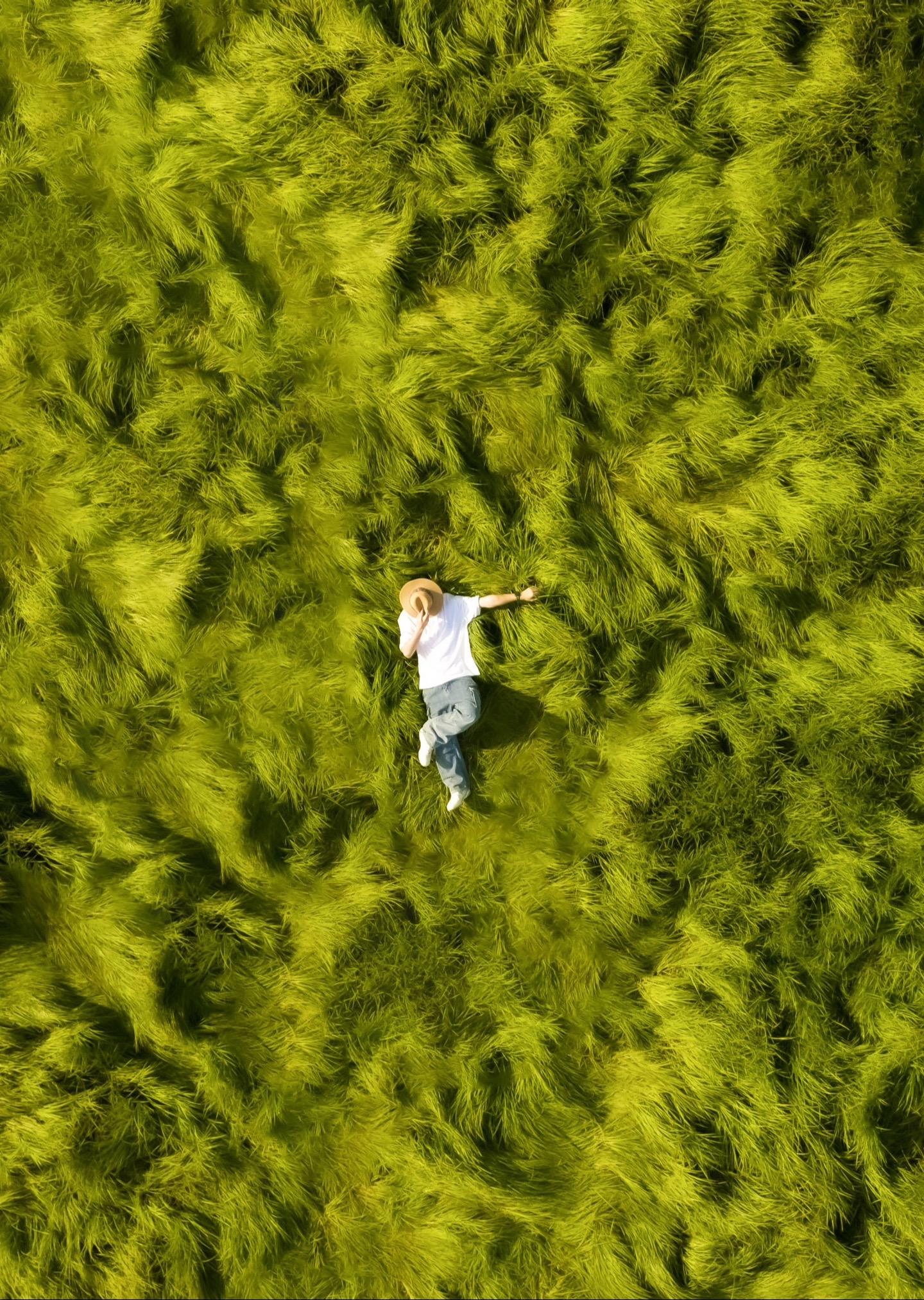 溧水旅行｜龙猫海草东庐山森系与落日诗意。苏州出发48小时玩遍南京溧水大...