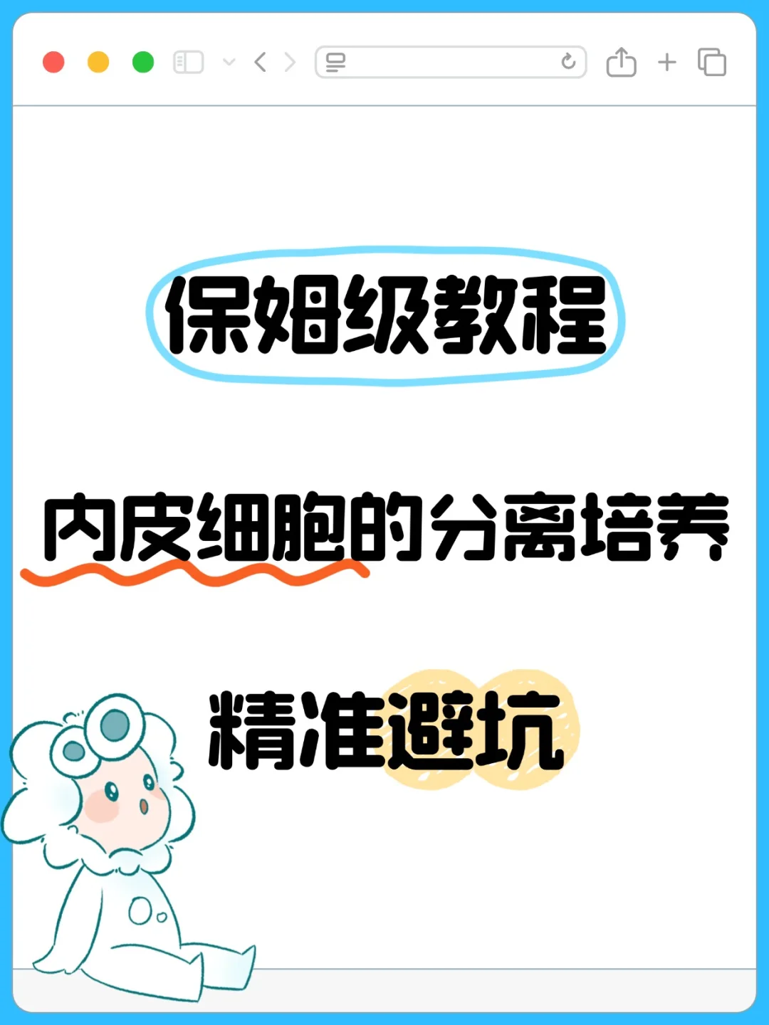 内皮细胞分离培养保姆帖！这些雷区💣别踩