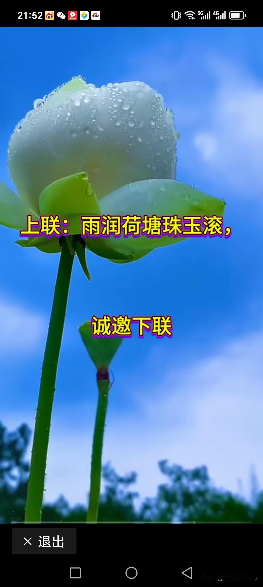 上联:雨润荷塘珠玉滚
下联:风摇垂柳枝头拽