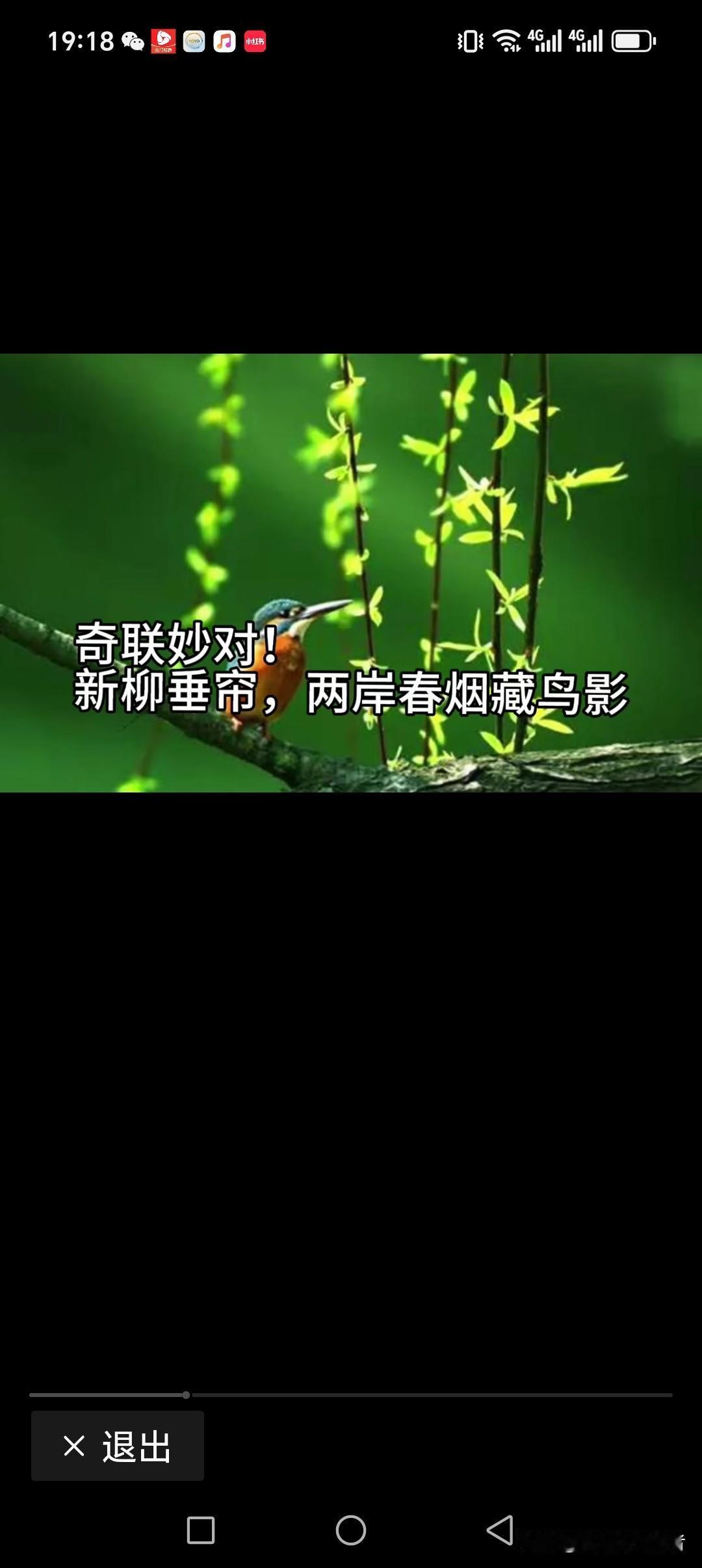 新柳垂帘，两岸春烟藏鸟影
旧燕衔泥，一江暖阳温岁月