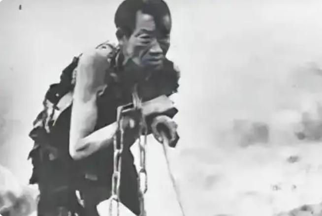 1949年西宁解放那天，一个瘸腿放牛奴冲进解放军驻地，颤声喊出一句："我是失踪1