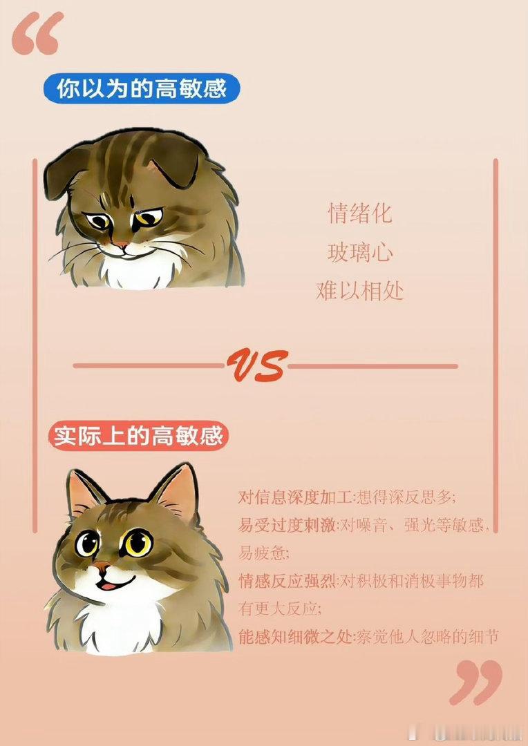 高敏感人一生只有一个主线任务高敏感的人不能等😶不爱长时间逛街扎堆凑热闹，冗长等