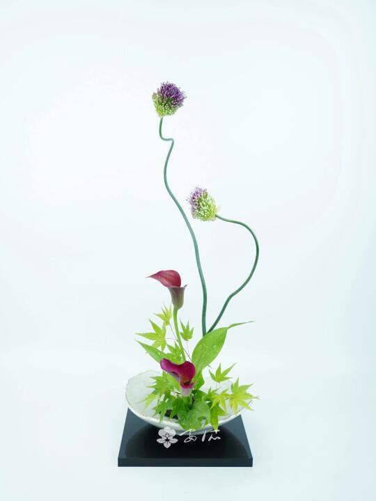 丹顶葱插花作品集