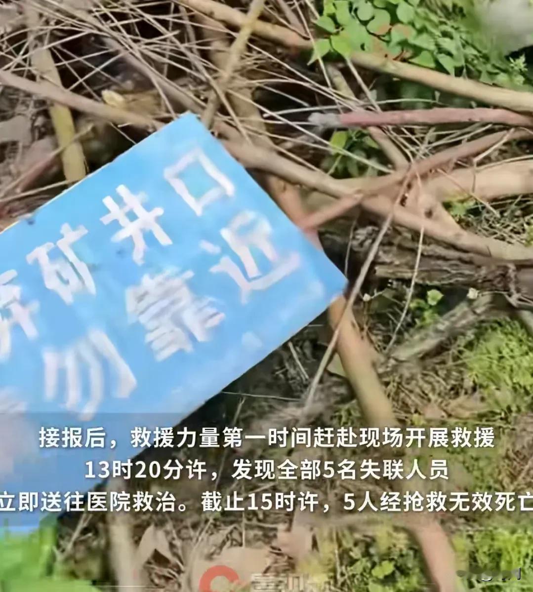 5人非法进入废弃金矿洞最终全部遇难！事发2025年10月5日9时50分许，在福建