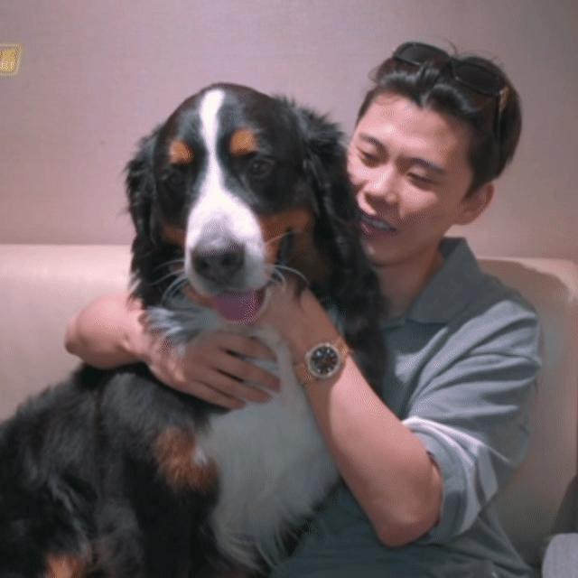 一个宠综节目找了四个喇叭嘉宾这四个人一起开口跟交响乐有什么区别 ， 太搞笑了吧，