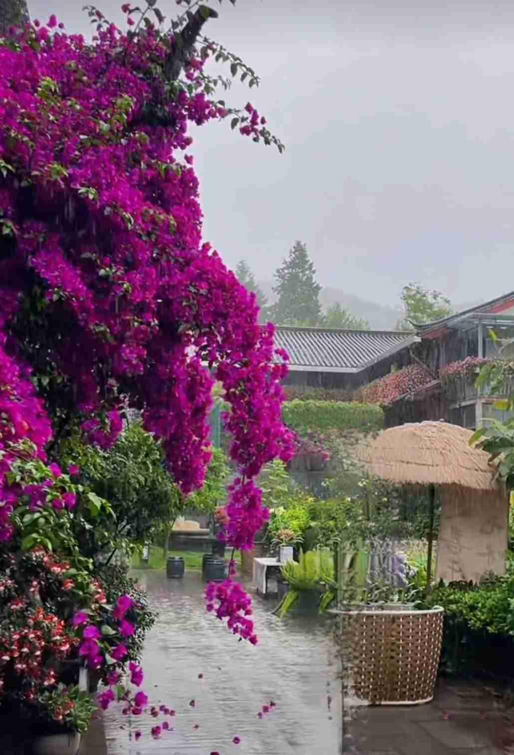 我的今日状态：😁轻松愉快
我这里的天气：☀️晴天