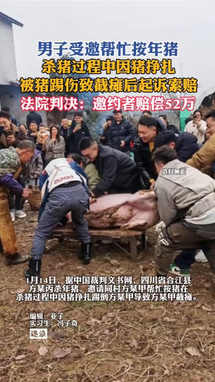 男子受邀帮忙按年猪，杀猪过程中因猪挣扎被猪踢伤致截瘫后起诉索赔。法院判决：邀约者