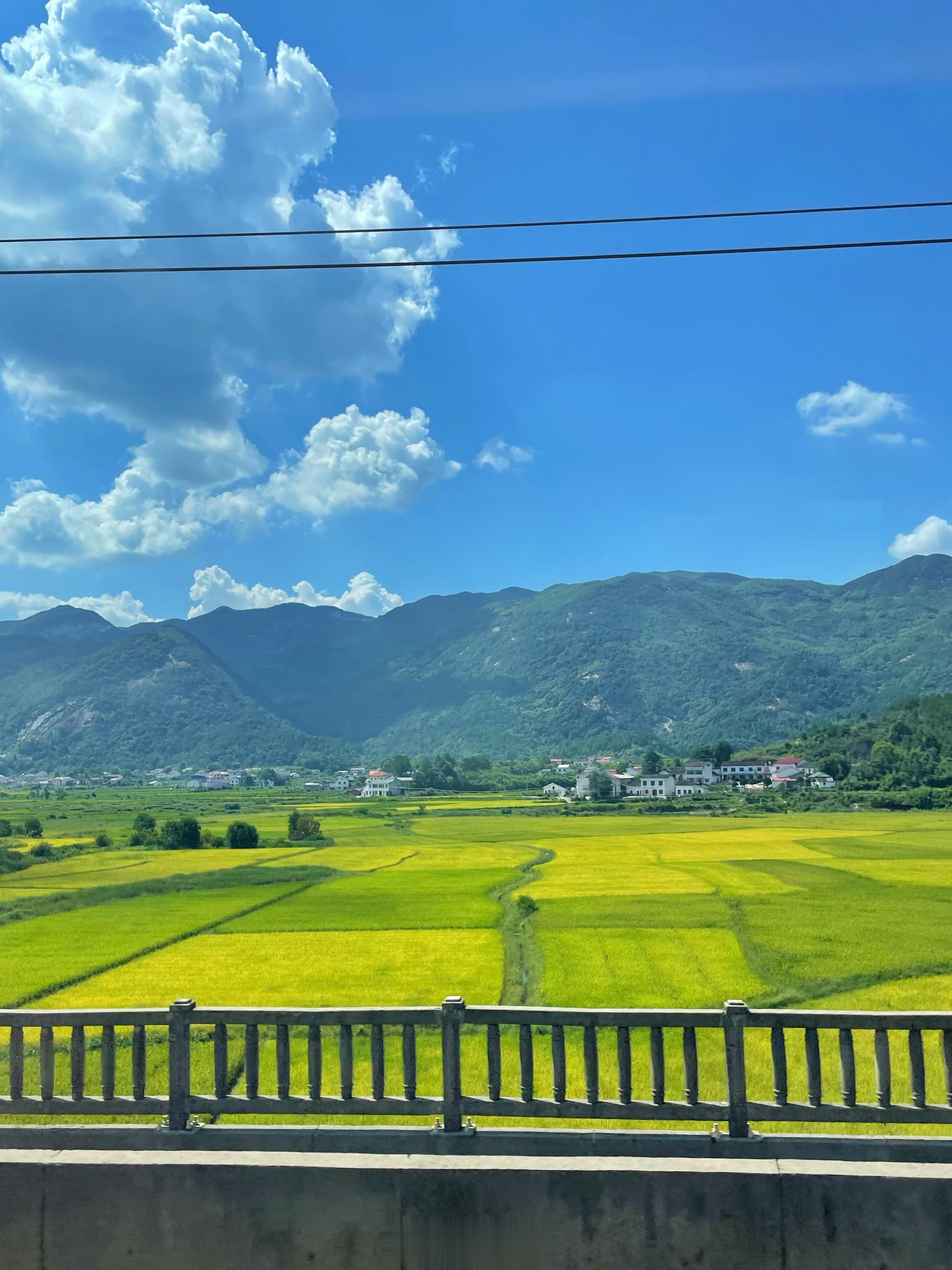 🚄我们回长沙了～运动后喝杯奶咖，顺便疯狂吸猫，把右右送到幼儿园以后感觉自己又活