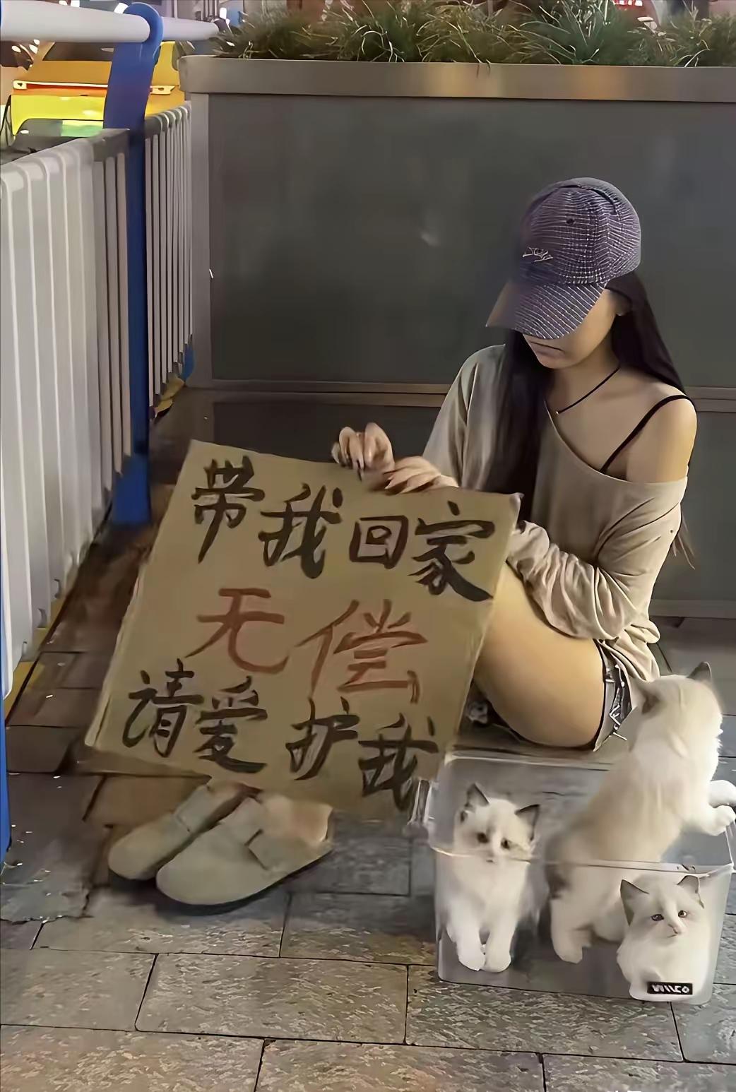 人可带走，狗狗就不用了