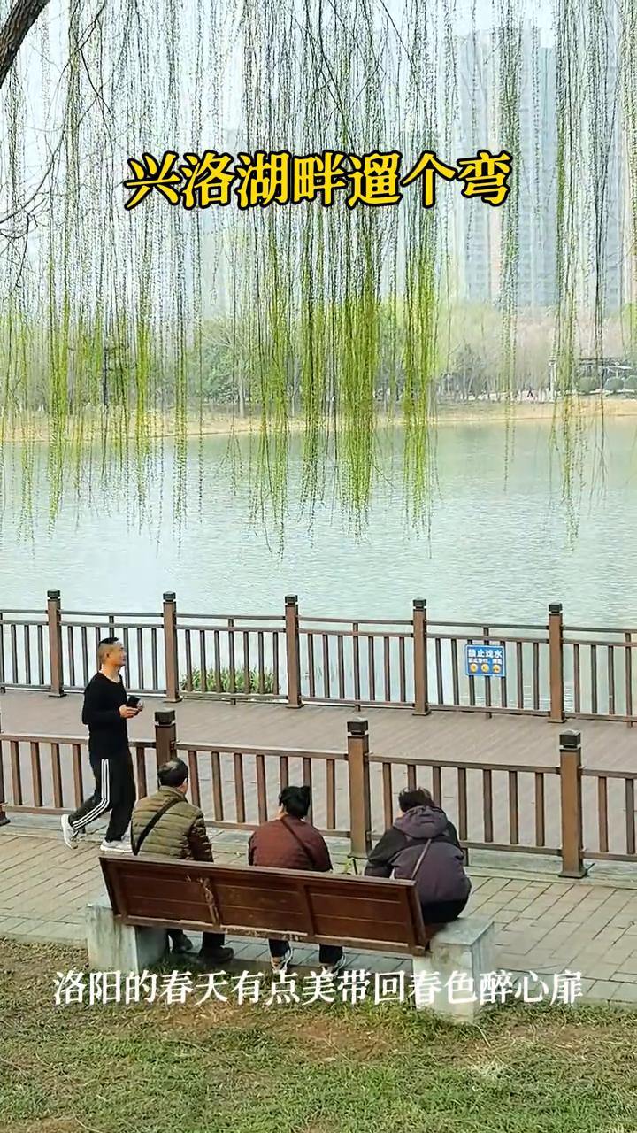兴洛湖畔遛个弯。
洛阳的春天有点美，带回春色醉心扉。