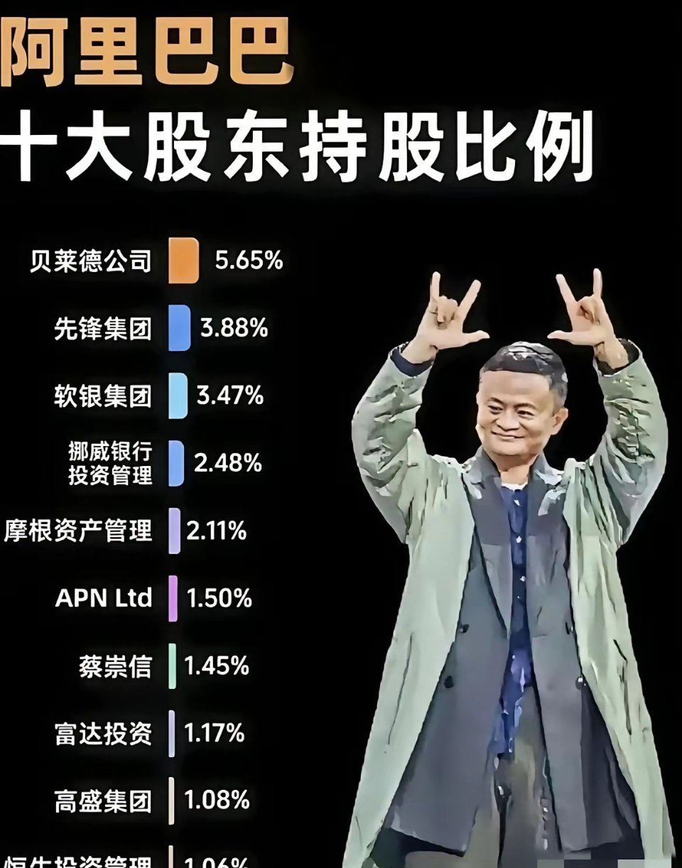 我发现一个现象，就是比较大的科技企业，都有这个贝莱德公司和先锋集团，而且持股还都