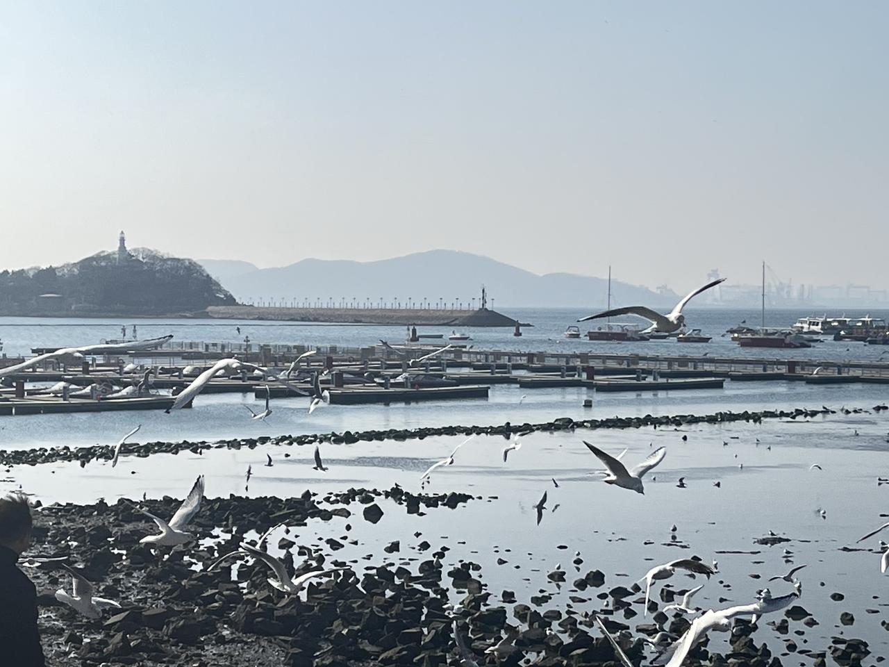 下周市场依旧是前强后弱，震荡下跌的趋势，个股分化，市场也分化，也就是涨跌不同，市