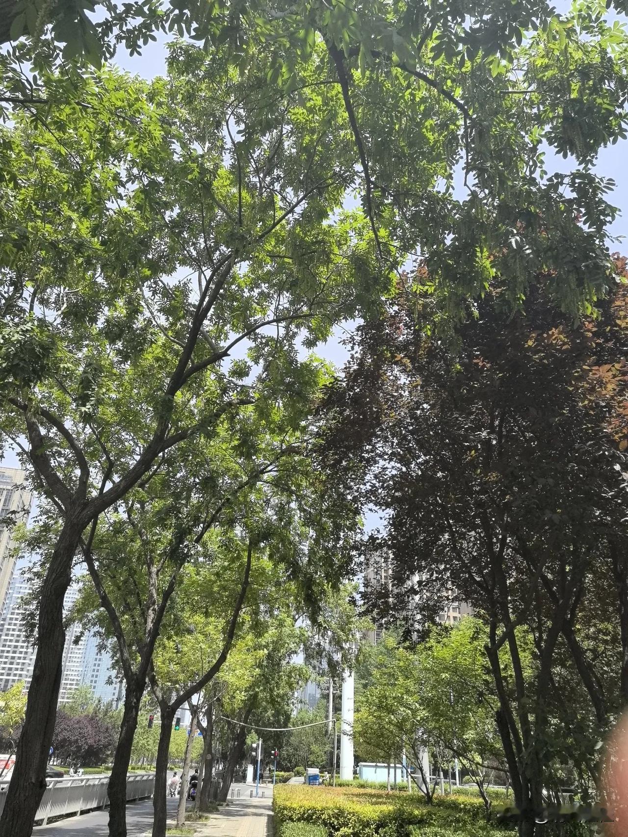 言差语错

昨天，婆婆等到下午四点，终于等到了二儿子，接她和公公去家里了。

我