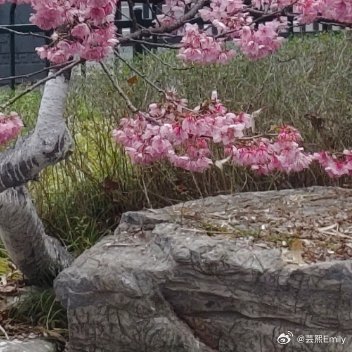 每日一善你好FordV宝格丽 怎能忘记把你写在蒂芙尼心里想兰博基尼还有施华洛世奇