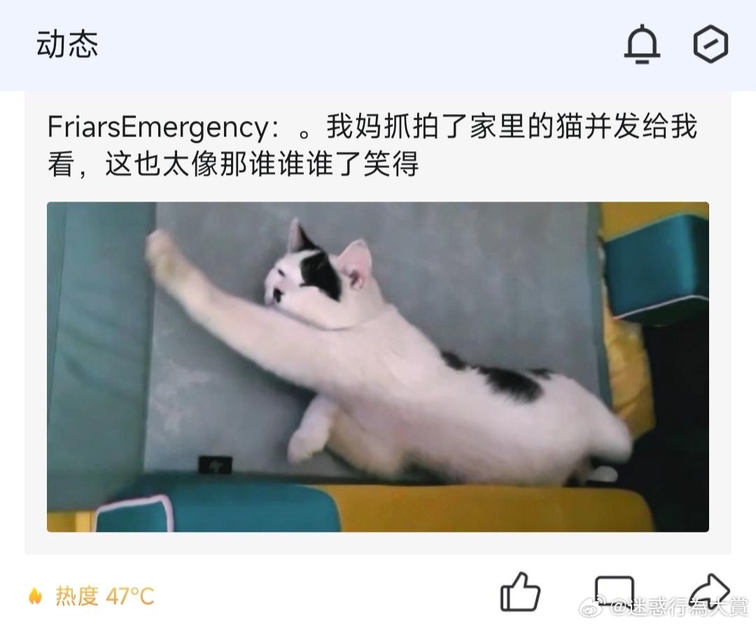 ？？？ 