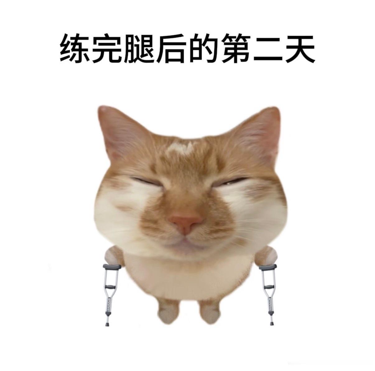 大家好，我的新名字是皮尔·金通 
