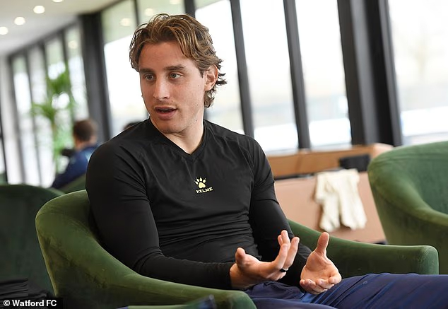 博维接受了每日邮报的独家专访：“我感觉自己像个超级英雄……然后我倒下了。”“我开