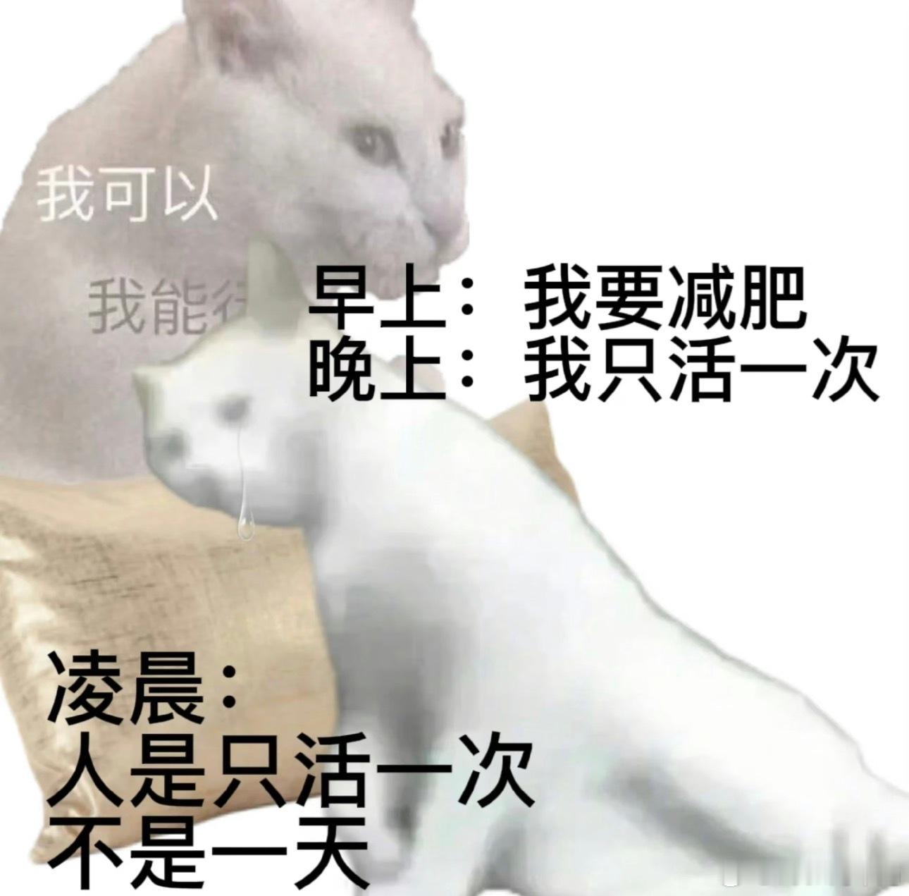 减肥和造原子弹一样难 一直都觉得减肥很难坚持，听完毕导的这番比喻，才想明白问题到