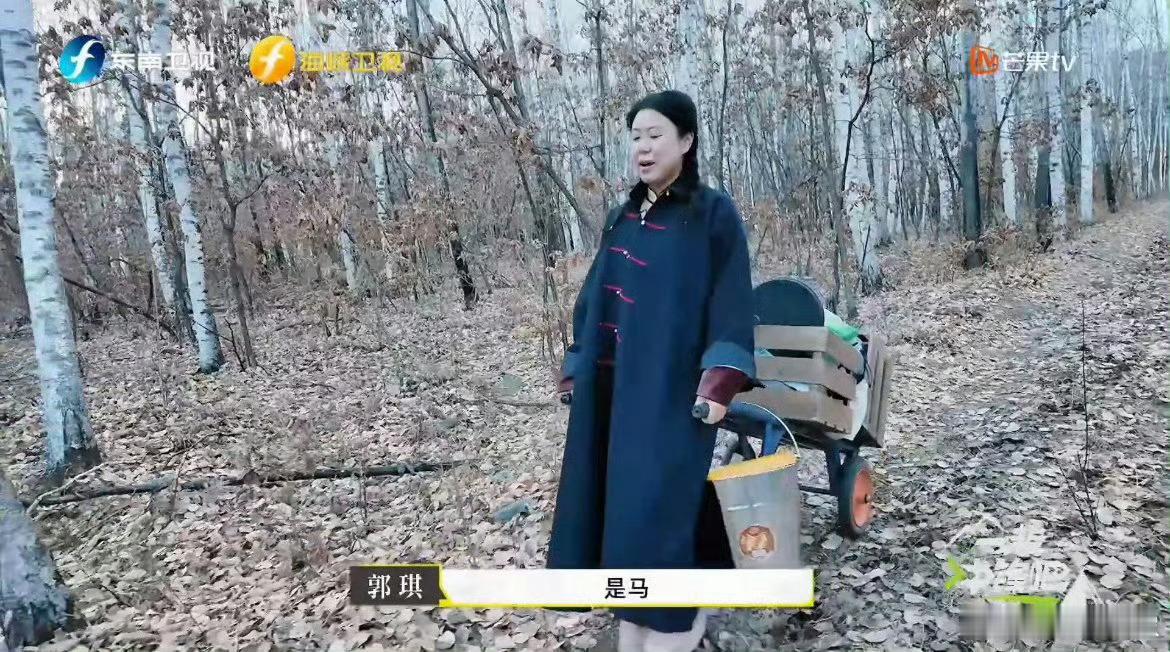 终于有综艺让老板当牛马了《一起冲锋吧》太懂打工人！老板拉车爬坡气喘吁吁，体验牛马