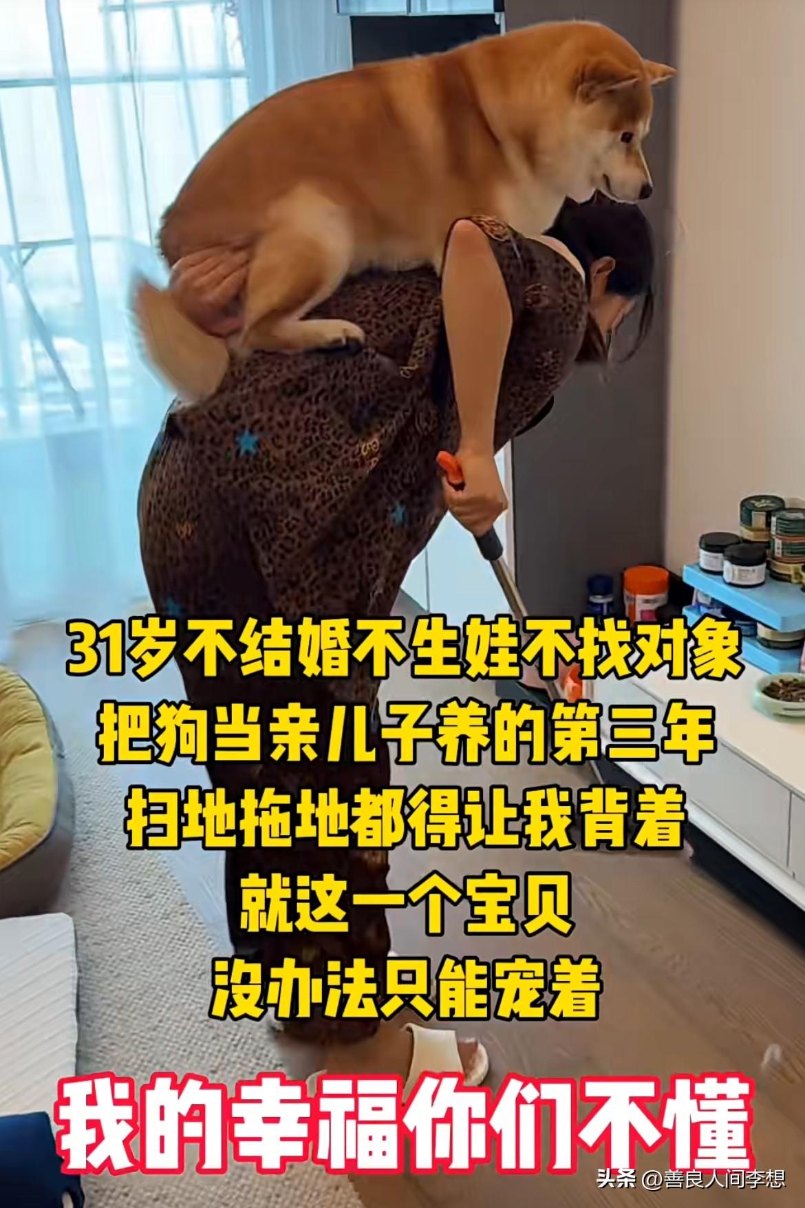 31岁不结婚不生孩子不找对象，把狗当儿子，扫地拖地都得让背着。

现在的年轻人是