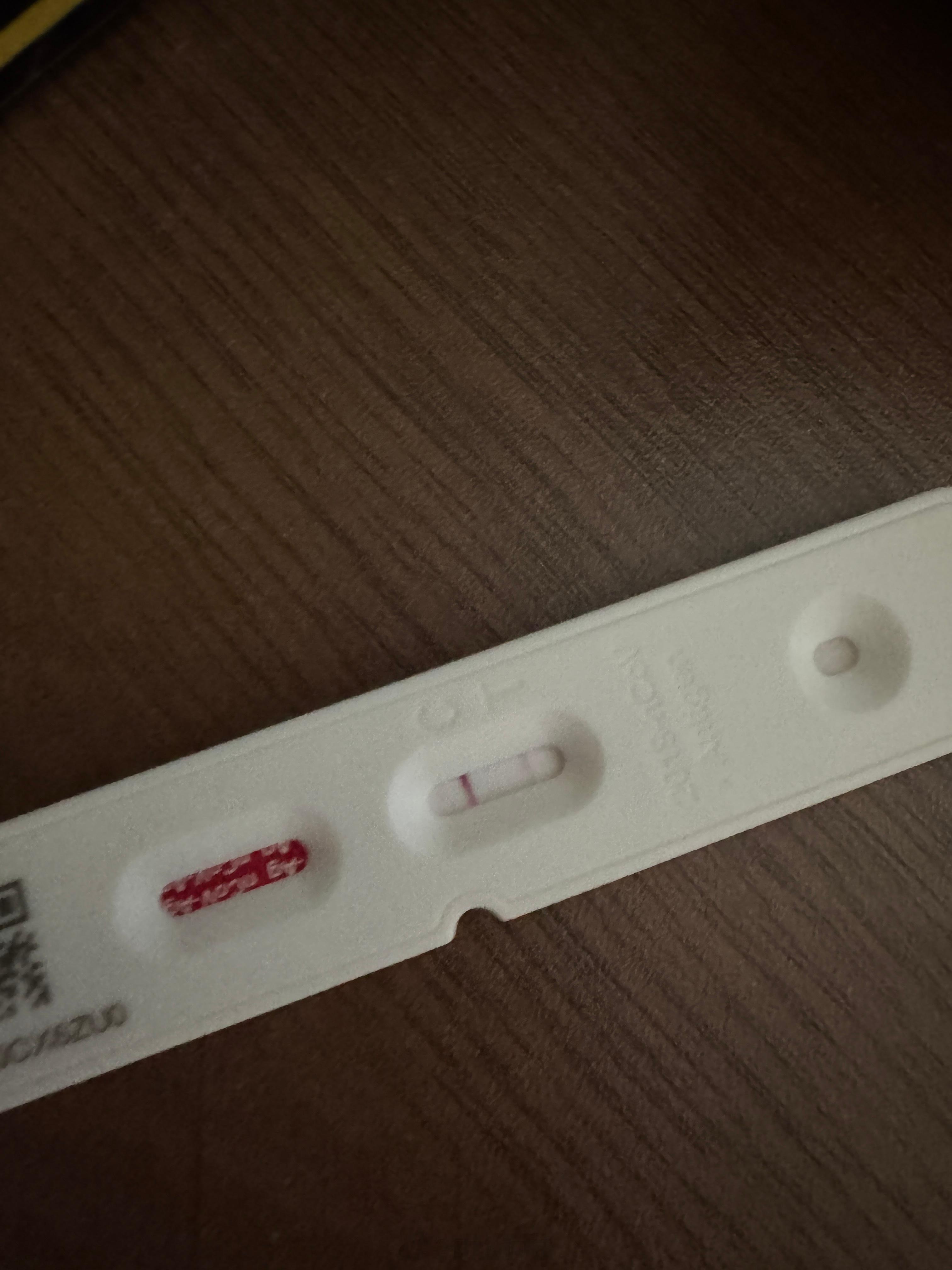 好好好，这波还真是让我赶上了雨丝的日常