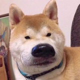 柔乖爱聊体育