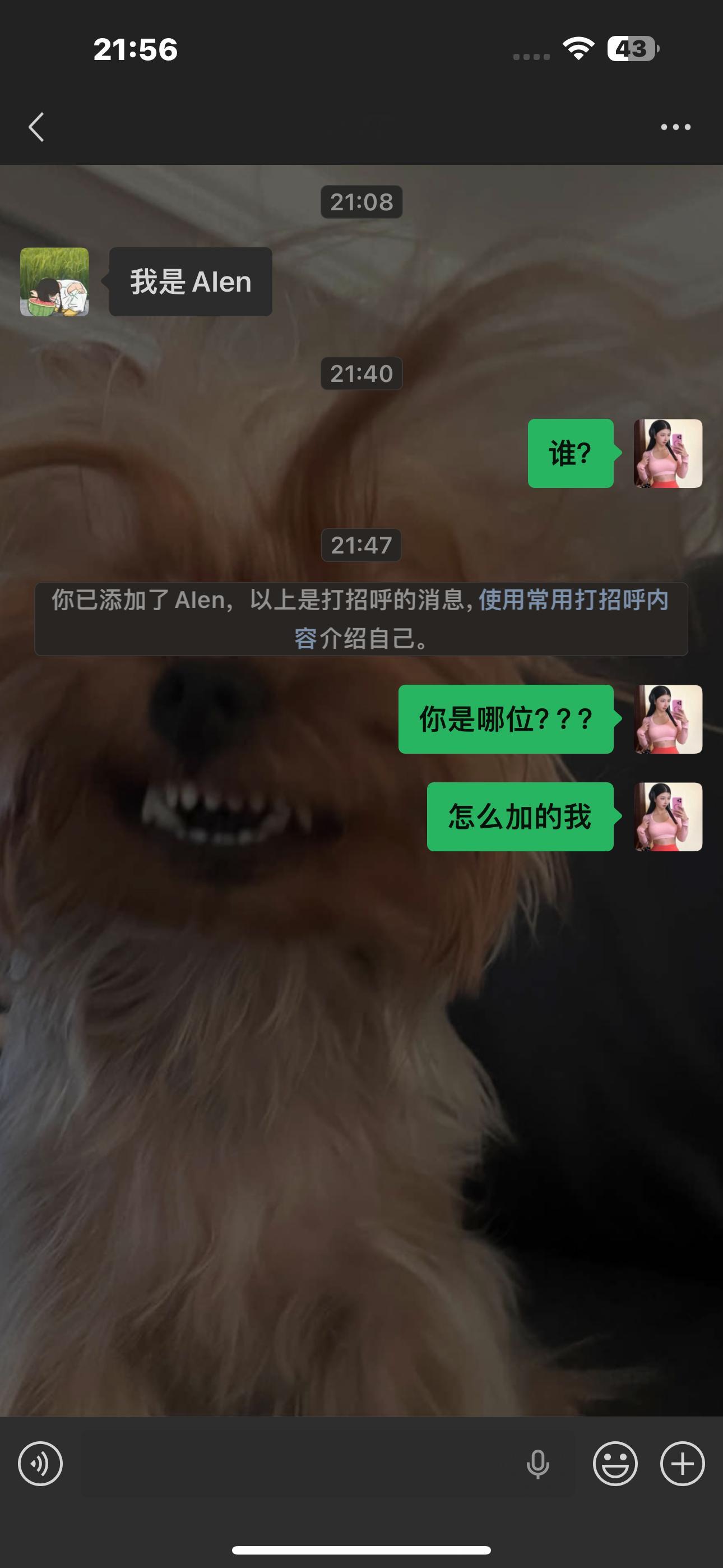 莫名其妙的有人加我微信我就很慌了，怕被谁哪个人盯上，因为我设置了加我的方式只能是